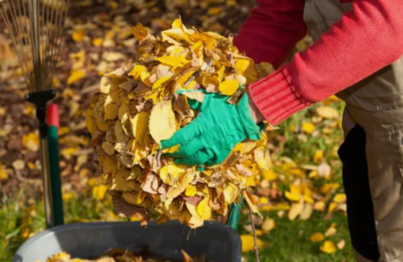 Итоги осенней санитарной очистки.